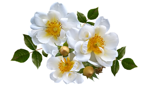 Image for 'Auspicious Marriage Date Calculation' article at AffinityNumerology.com Image for 'Auspicious Marriage Date Calculation' numerology article