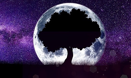 Image for 'Can I Change My Numerology Numbers?' numerology article